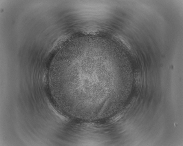 X0000089970408200707131428