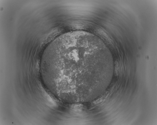 X0000089970410200707131428