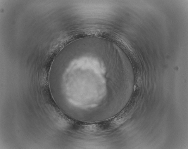 X0000089970411200707131428