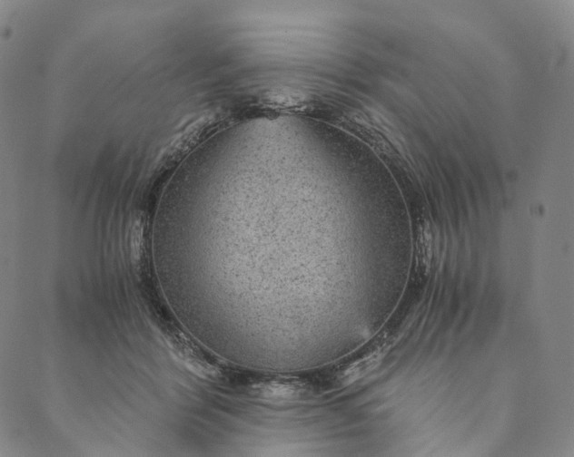 X0000089970412200707131428