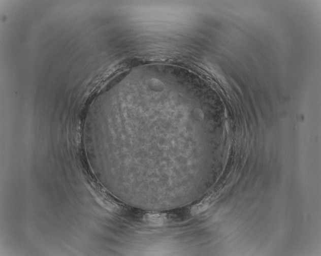 X0000089970413200707131428