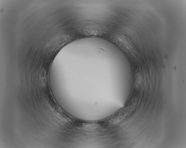 X0000089970414200707131428