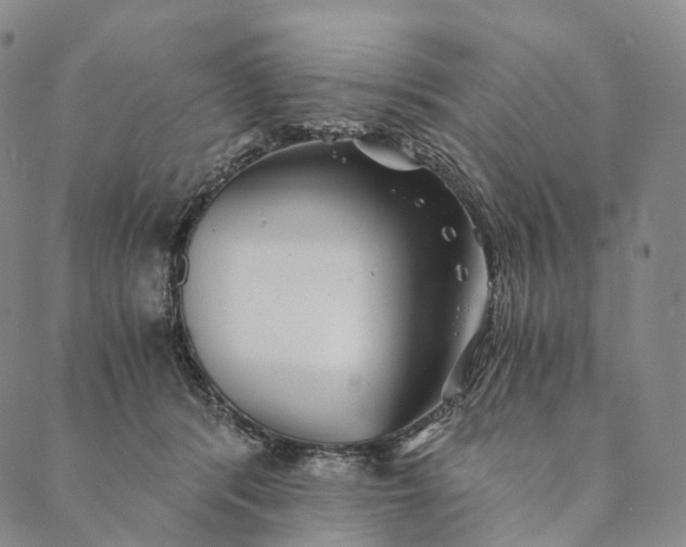 X0000089970416200707131428