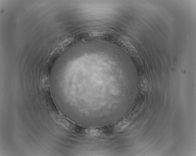 X0000089970419200707131427