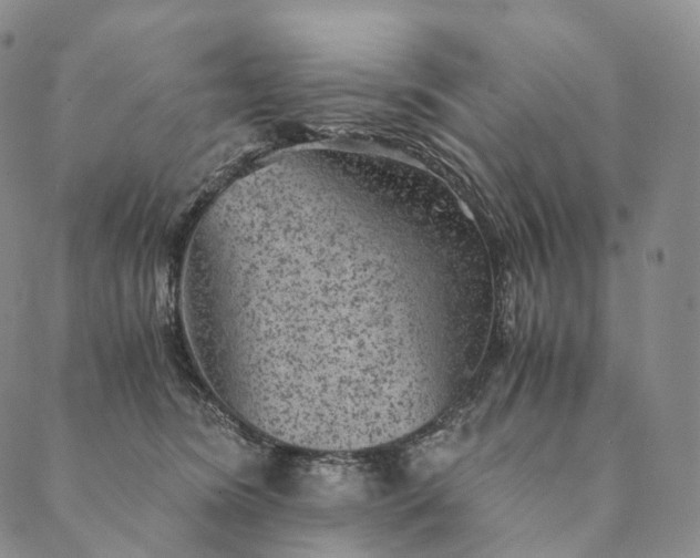 X0000089970420200707131427