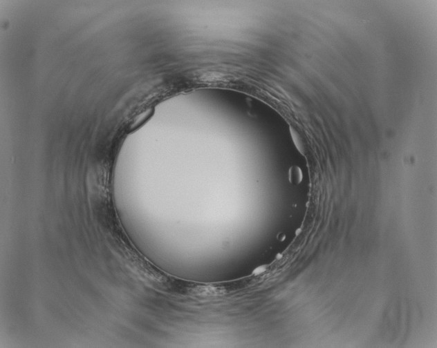 X0000089970421200707131427