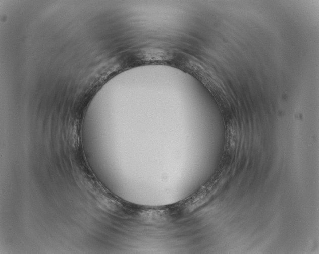 X0000089970422200707131427