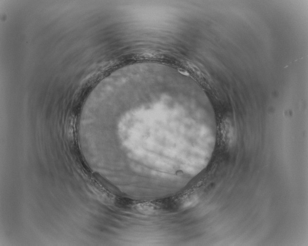 X0000089970423200707131427