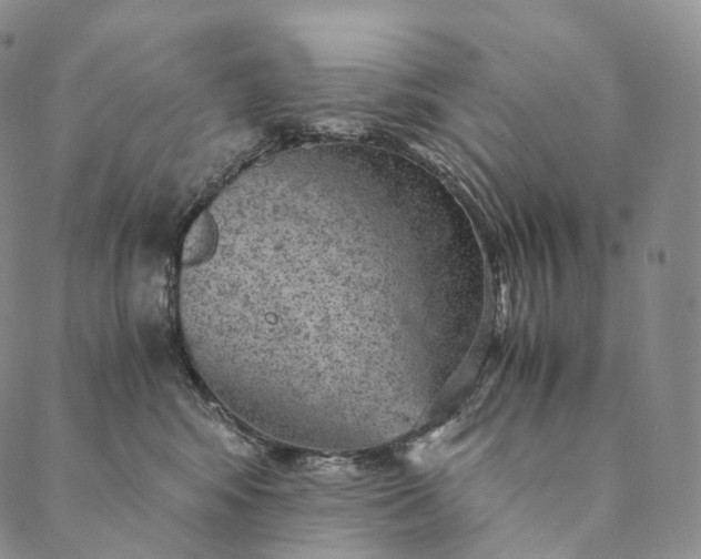 X0000089970424200707131427