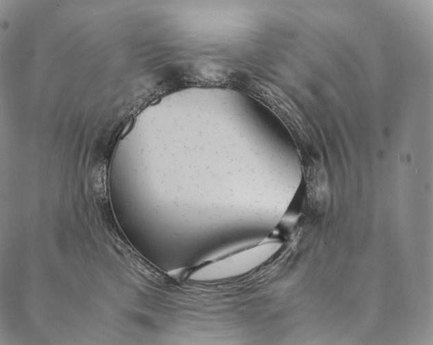 X0000089970425200707131427