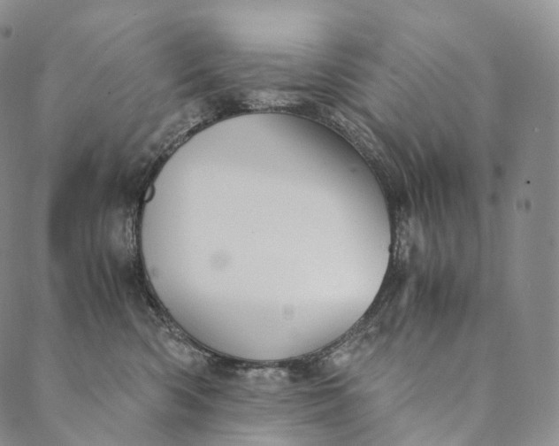 X0000089970426200707131427