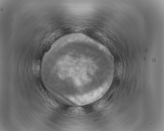 X0000089970427200707131427