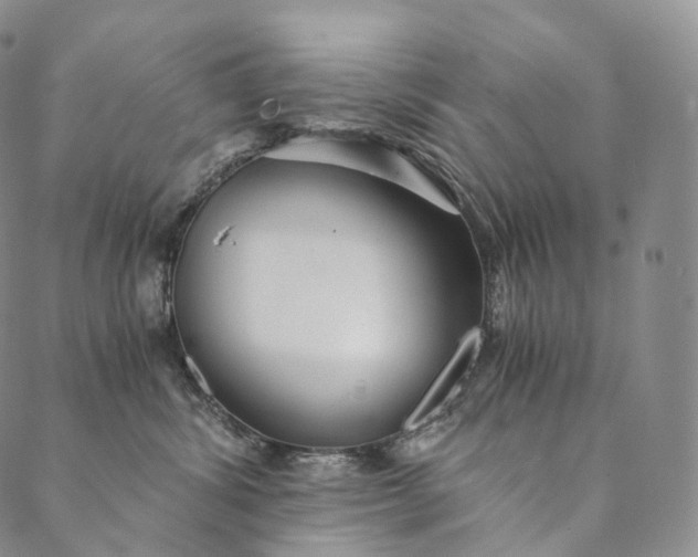 X0000089970428200707131427