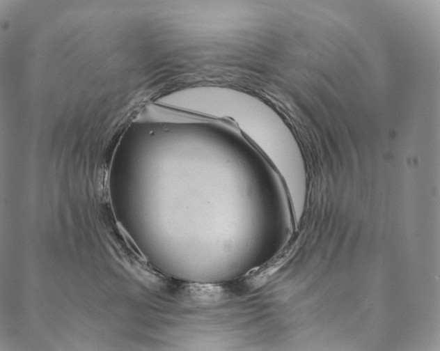 X0000089970429200707131427