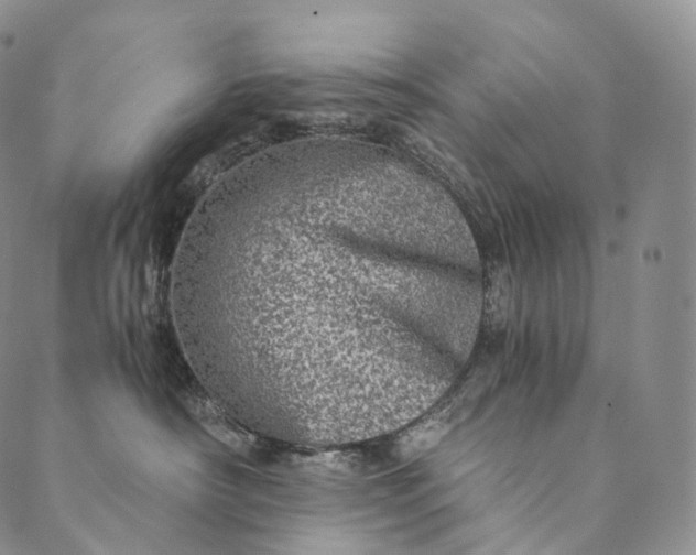 X0000089970430200707131427