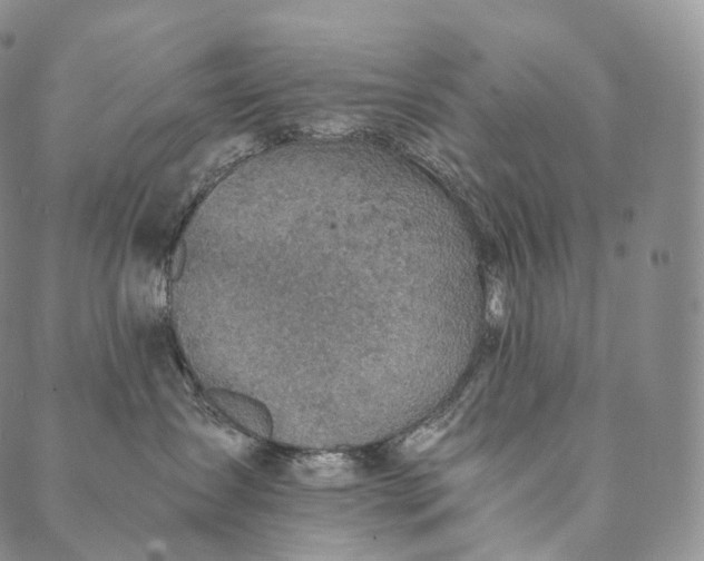 X0000089970431200707131427