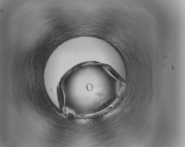 X0000089970432200707131427