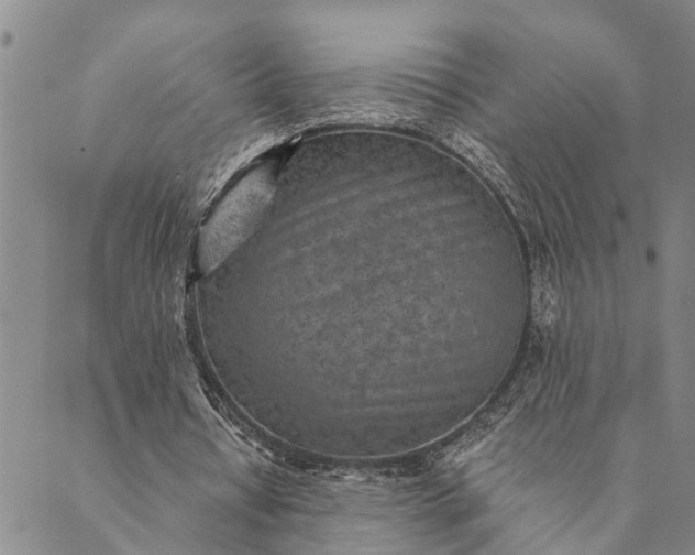 X0000089970434200707131426