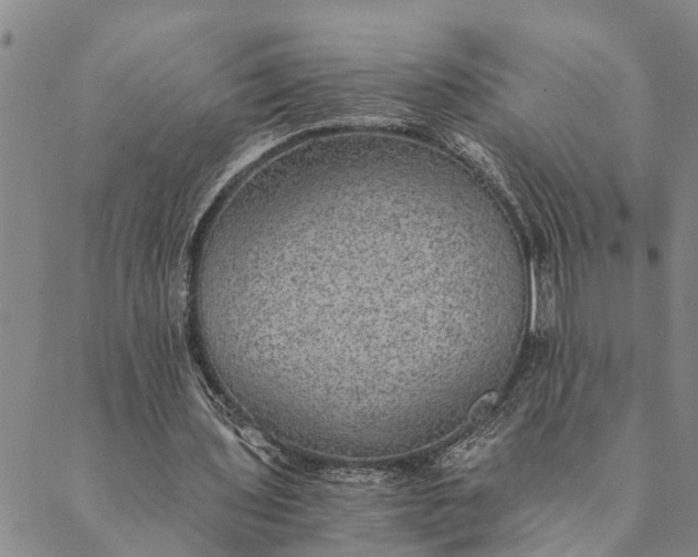 X0000089970435200707131427