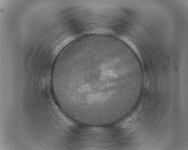 X0000089970437200707131427