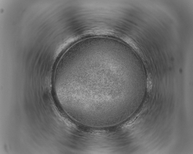 X0000089970438200707131427