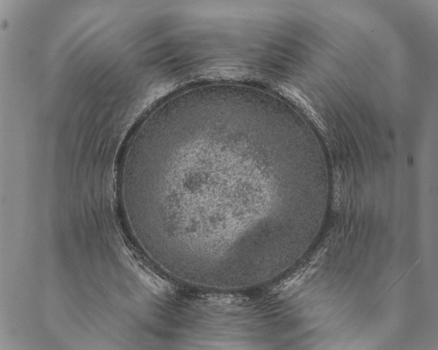 X0000089970439200707131427