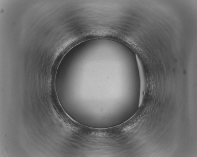 X0000089970440200707131427