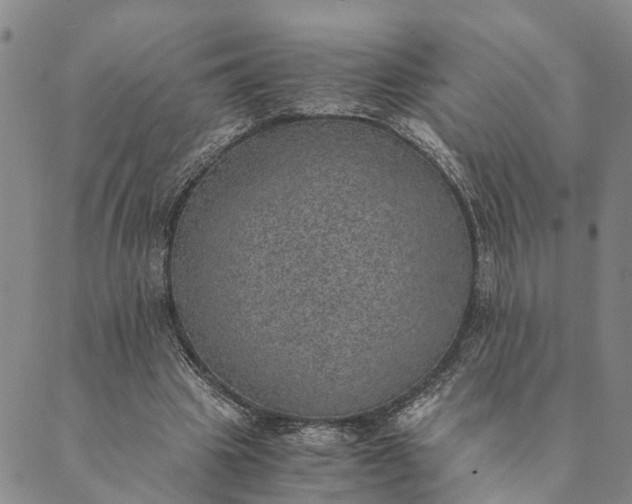 X0000089970441200707131427