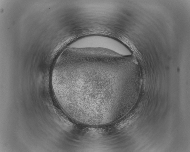 X0000089970442200707131427