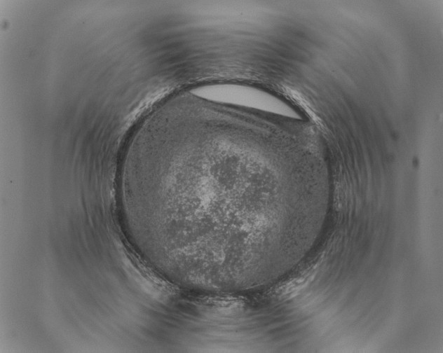 X0000089970443200707131427