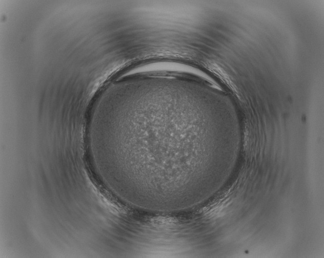 X0000089970444200707131427