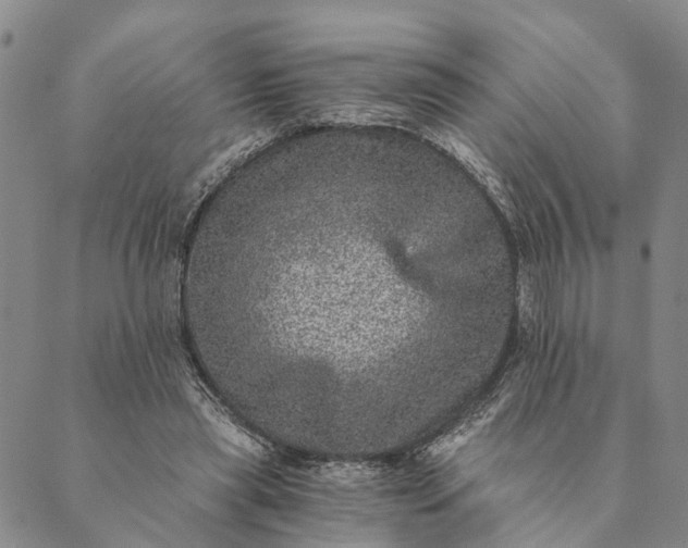 X0000089970445200707131427