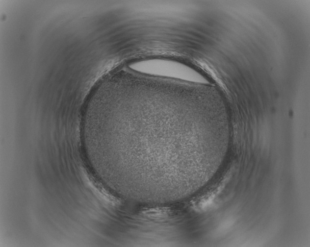 X0000089970447200707131427