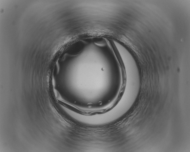 X0000089970448200707131427