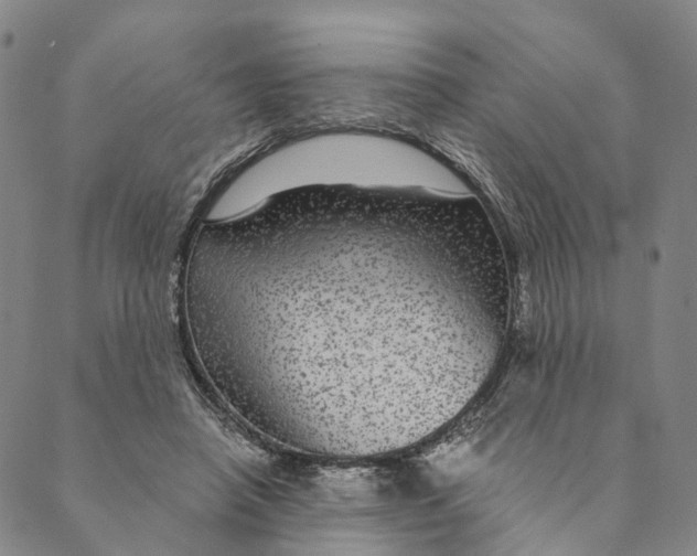 X0000089970450200707131427