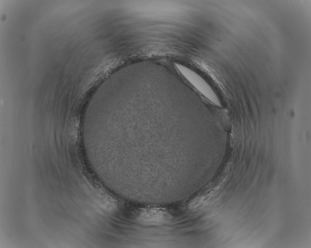 X0000089970451200707131427