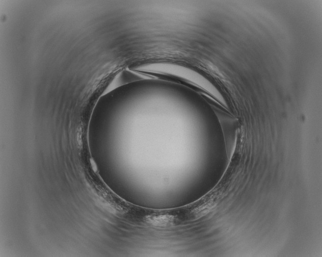 X0000089970452200707131427