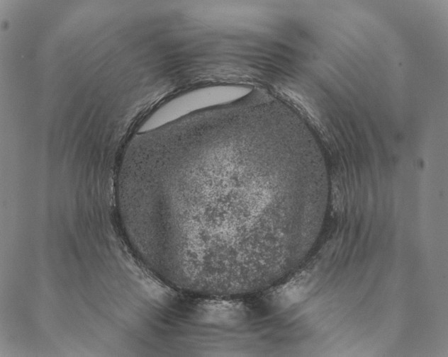 X0000089970453200707131427