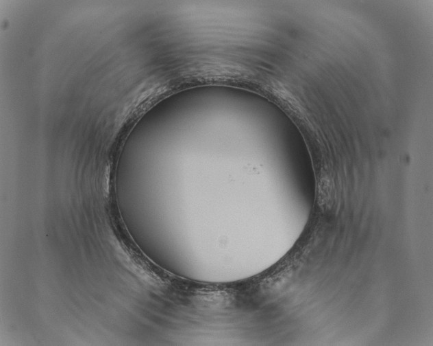 X0000089970454200707131427