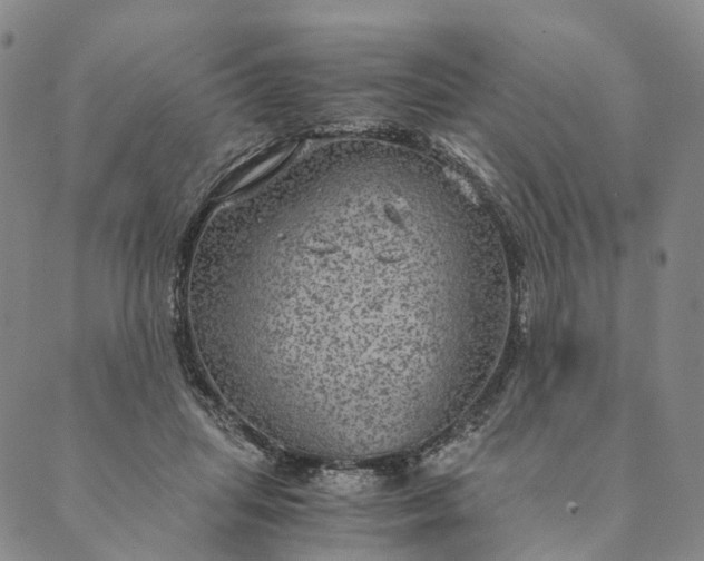 X0000089970455200707131427