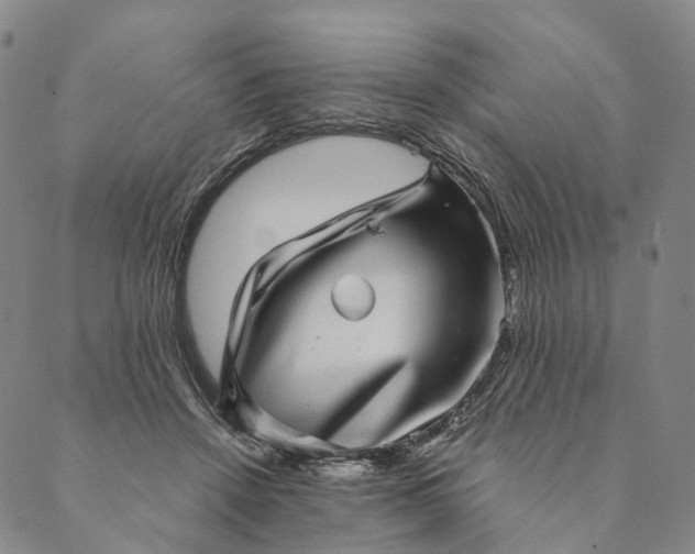 X0000089970456200707131427