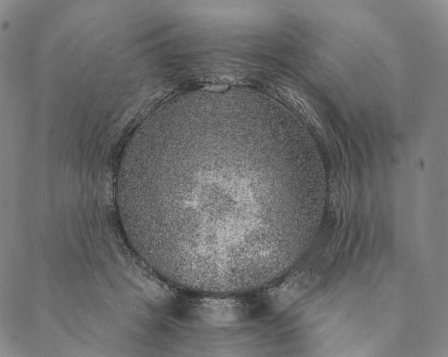 X0000089970457200707131427