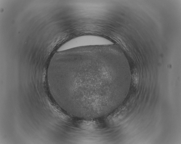 X0000089970458200707131427