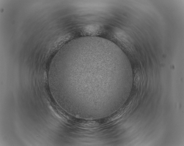 X0000089970459200707131427