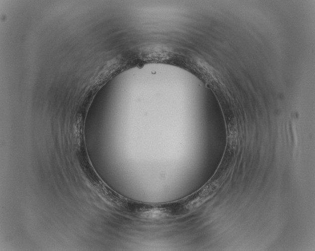 X0000089970460200707131427