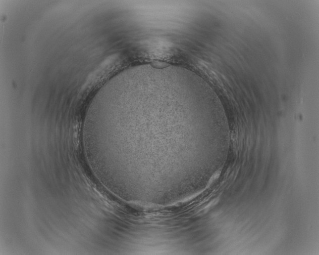 X0000089970462200707131427