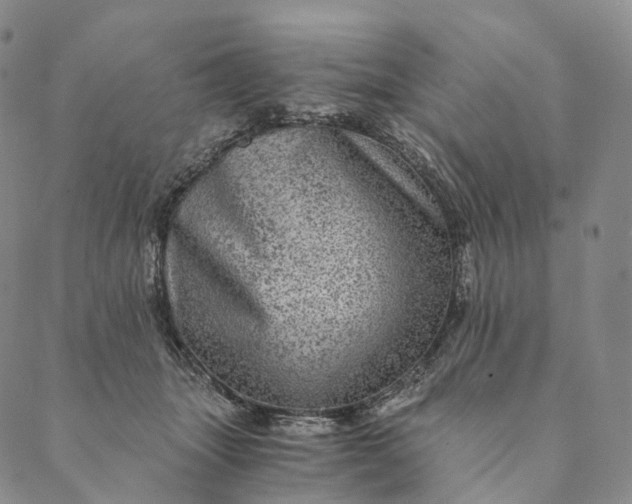 X0000089970463200707131427