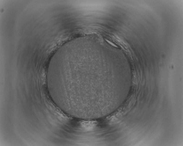 X0000089970465200707131427