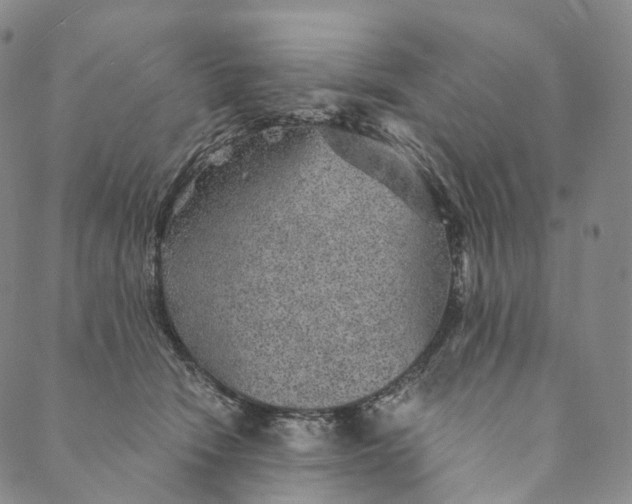 X0000089970466200707131427