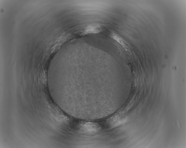 X0000089970467200707131427